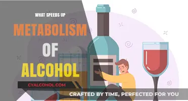 Boosting Alcohol Metabolism: Key Factors to Speed Up the Process