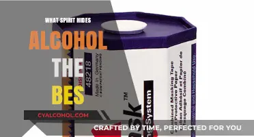 Best Spirits to Mask Alcohol Taste: Top Picks for Smooth Sipping