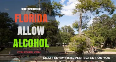 Florida Springs That Allow Alcohol: Your Guide to Boozy Oasis Spots
