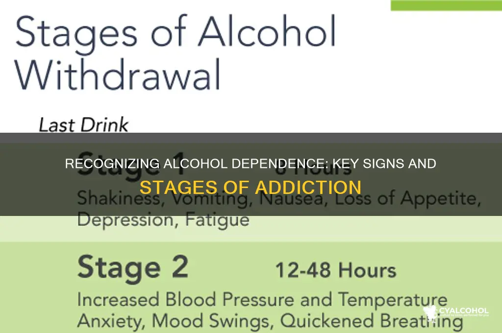 what stage do you become dependent on alcohol