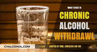 Understanding Chronic Alcohol Withdrawal: Stages, Symptoms, and Recovery Timeline