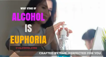 Euphoria and Alcohol: Understanding the Early Stage of Intoxication