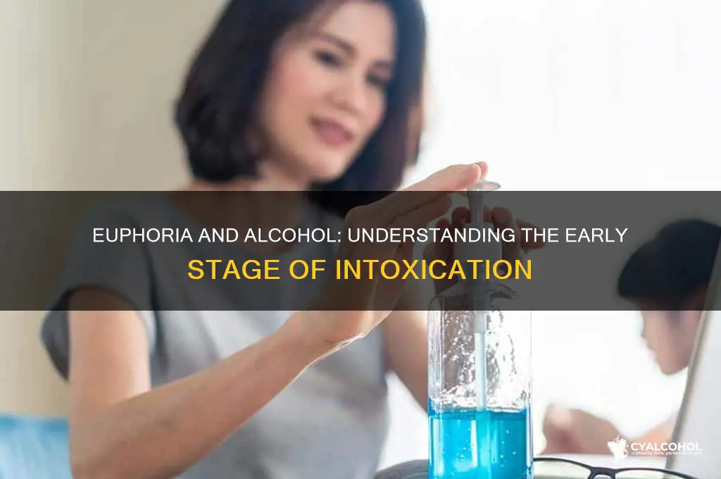 what stage of alcohol is euphoria