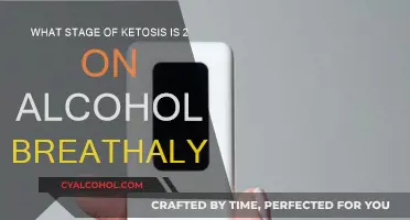 Ketosis and Alcohol Breathalyzers: What's the Connection?