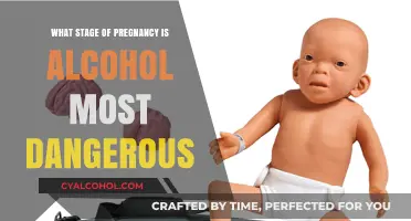 Alcohol's Critical Impact: When Pregnancy Faces Highest Risk from Drinking
