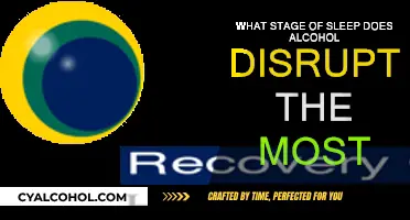 Alcohol and Sleep: REM Stage Disruption