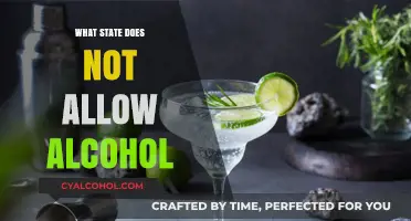 Which U.S. State Prohibits Alcohol Sales and Consumption?