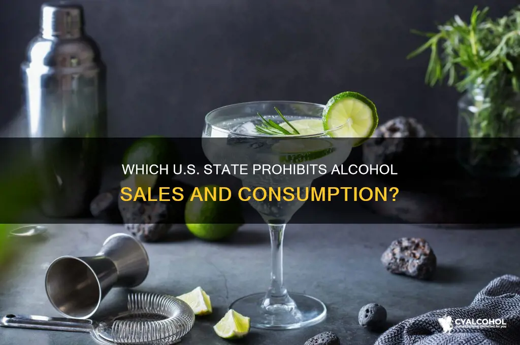 what state does not allow alcohol