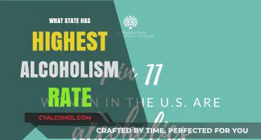 Which U.S. State Struggles Most with Alcoholism Rates?