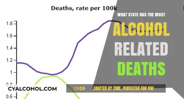 Deadly Drinking: Which U.S. State Tops Alcohol-Related Fatalities?