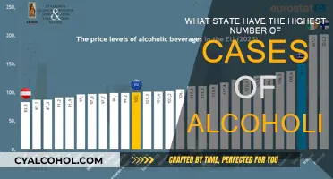 US State With the Most Alcoholism Cases
