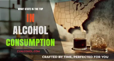 Which U.S. State Leads in Alcohol Consumption? Surprising Results