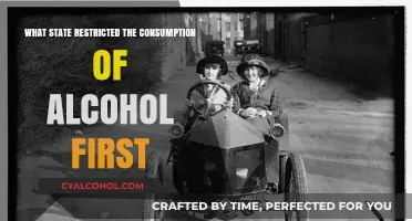 Maine's Historic Move: The First State to Ban Alcohol Consumption