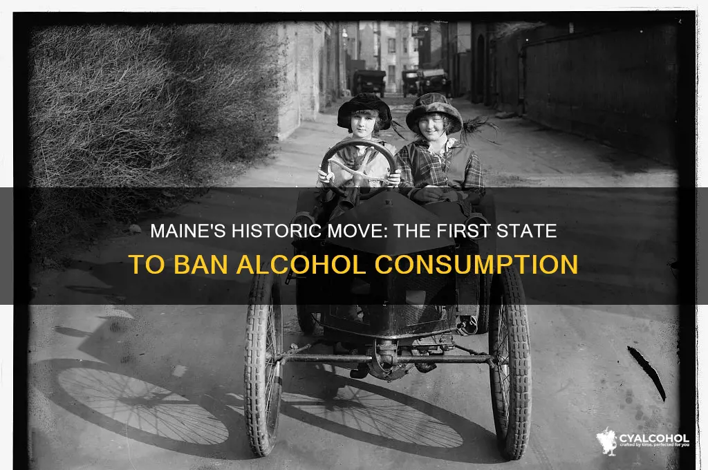 what state restricted the consumption of alcohol first