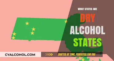 Dry States in America: Where Alcohol Sales Remain Prohibited