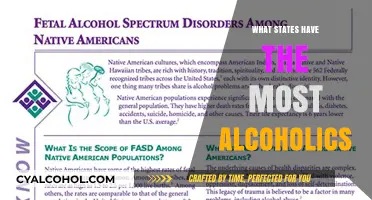 States with the Highest Rates of Alcoholism in America