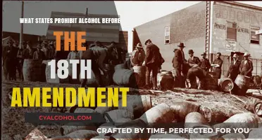 Prohibition Predecessors: States Banning Alcohol Before the 18th Amendment