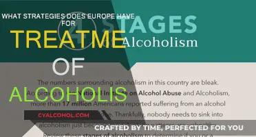 Europe's Alcoholism Treatment Strategies: An Overview