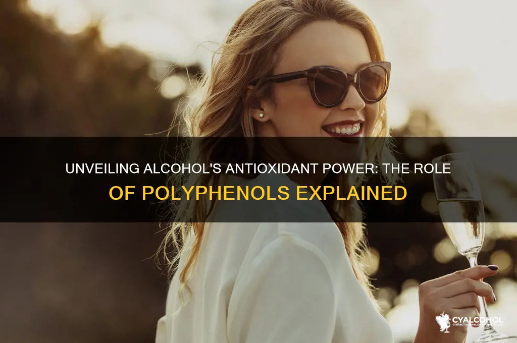 what substance in alcohol acts as an antioxidant