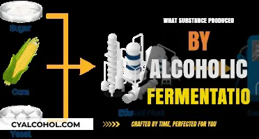 Unveiling Ethanol: The Key Substance from Alcoholic Fermentation Explained