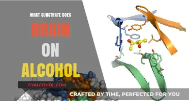 How Alcohol Alters Brain Function: The Role of Substrate Interaction