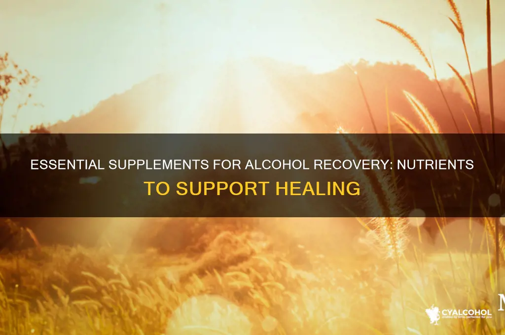 what supplement does an alcoholic need