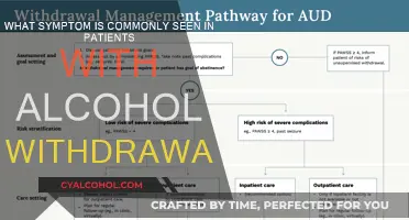 Alcohol Withdrawal: The Dangers of Seizures and Delirium Tremens