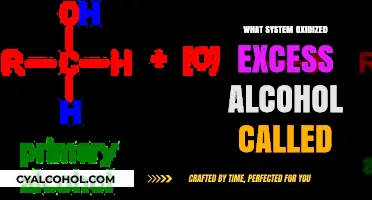 Understanding the Body's System for Oxidizing Excess Alcohol: A Guide