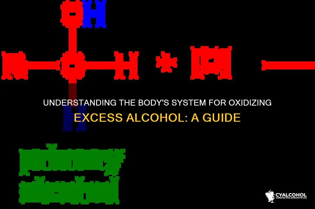 what system oxidized excess alcohol called