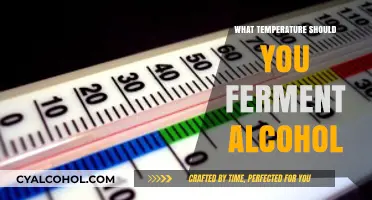 Optimal Fermentation Temperatures for Perfect Alcohol Production: A Guide