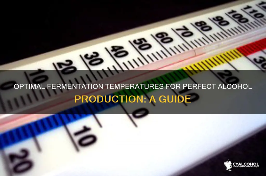 what temperature should you ferment alcohol