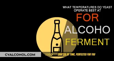 Ideal Yeast Temperature for Alcoholic Fermentation