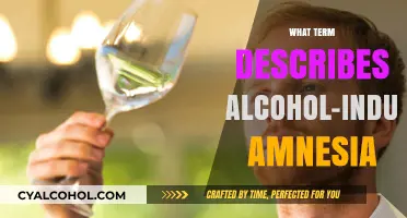 Understanding Alcohol-Induced Amnesia: The Term Behind Memory Loss
