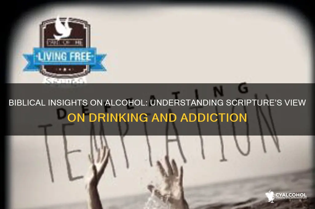 what the bble says about alcohol and alcoholism