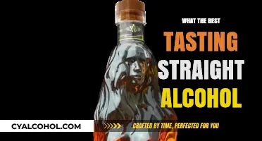 Savoring the Best: Top Straight Alcohols for Pure Flavor Delight