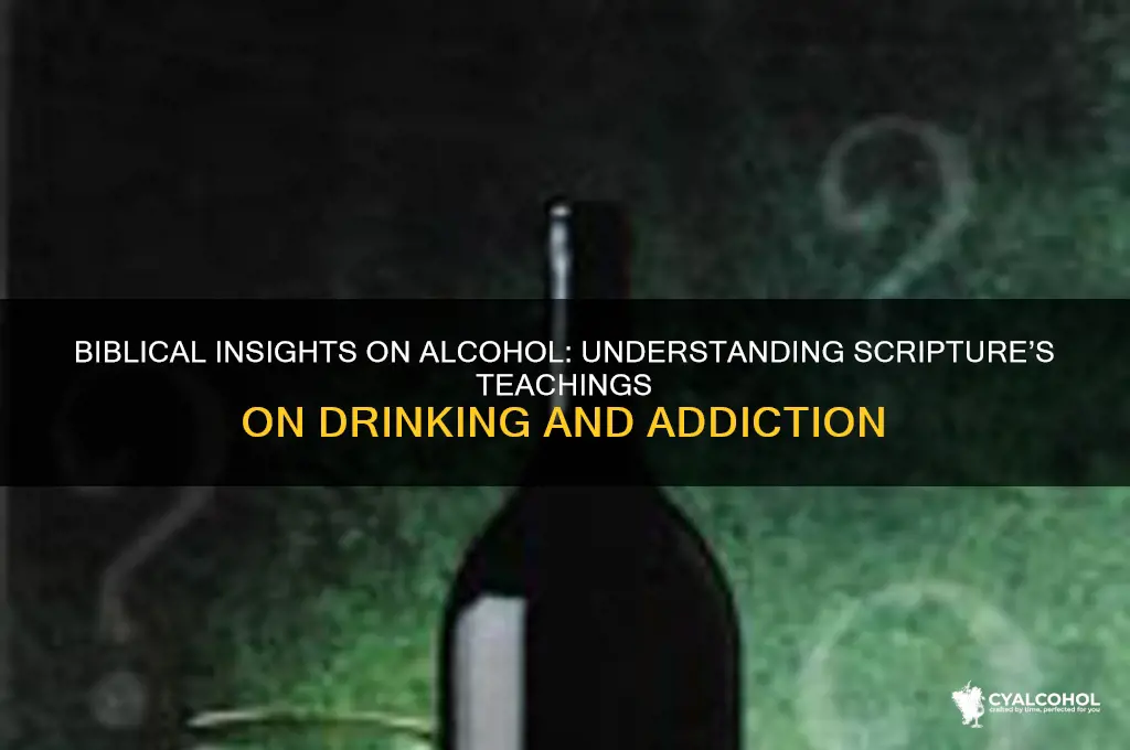 what the bible says about alcohol and alcoholism