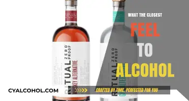 Exploring the Closest Sensations to Alcohol: Alternatives and Experiences