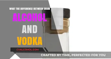 Grain Alcohol vs. Vodka: Key Differences Explained Simply