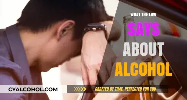 Understanding Alcohol Laws: Legal Limits, Rights, and Responsibilities Explained