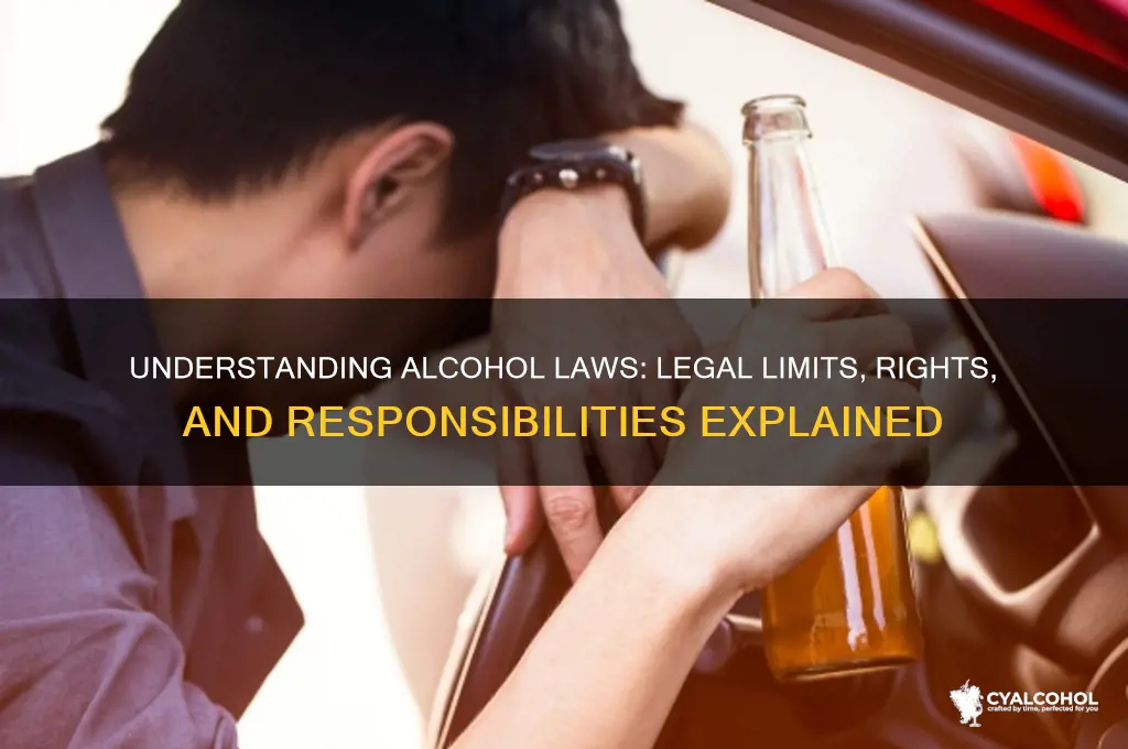 what the law says about alcohol