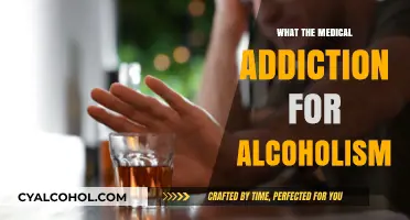 Understanding Alcoholism: The Medical Perspective on Addiction and Recovery