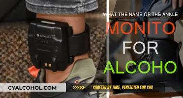 Ankle Monitors: Alcohol Detection for Sober Living