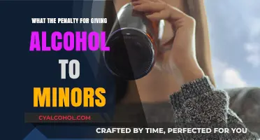 Legal Consequences of Providing Alcohol to Minors: What You Need to Know
