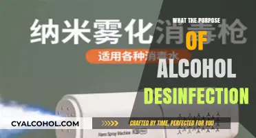 Why Alcohol Disinfection is Essential for Effective Sterilization and Safety
