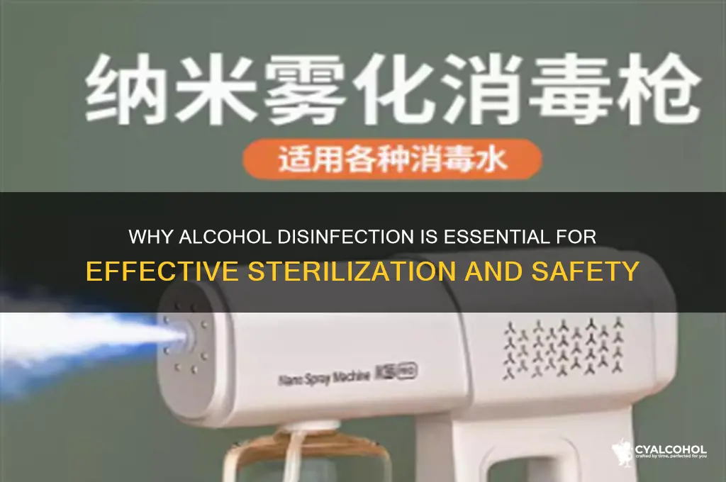 what the purpose of alcohol desinfection