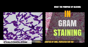Alcohol's Role in Gram Staining: Enhancing Bacterial Cell Differentiation