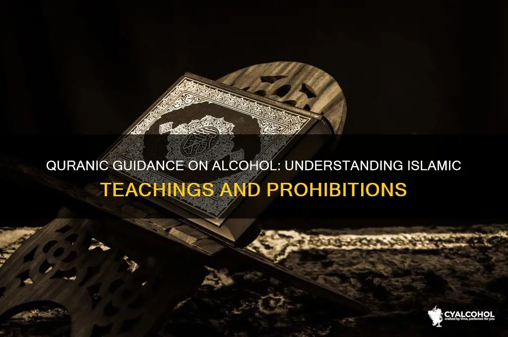 what the quran say about alcohol
