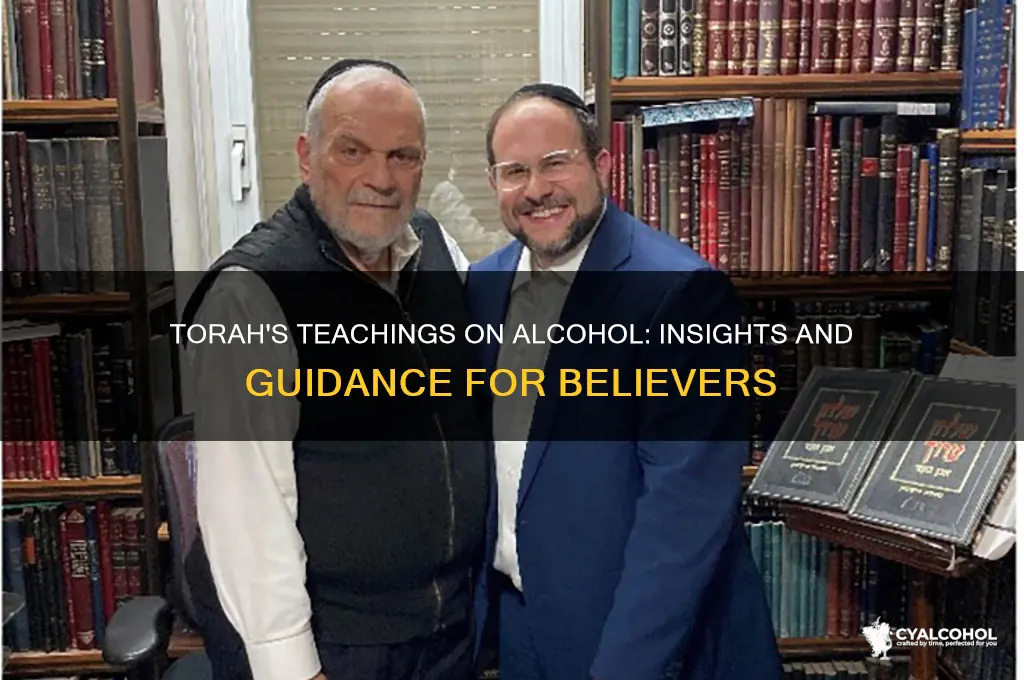 what the torah says about alcohol