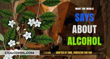 Global Perspectives: Alcohol's Impact, Cultural Views, and Societal Conversations