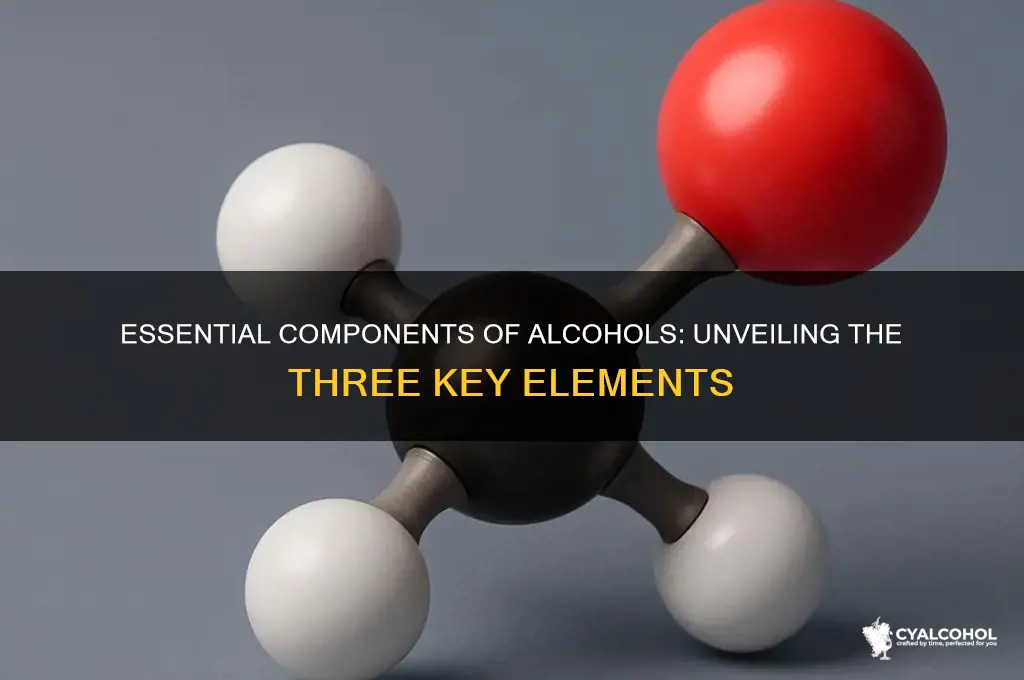 what three elements are present in all alcohols